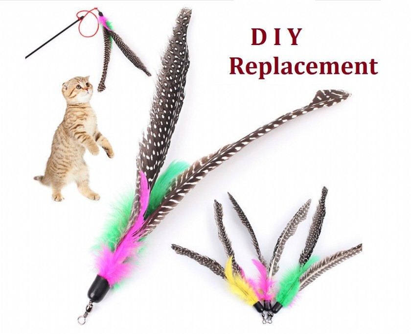 Diy Cat Feather Toy Learn or Ask About Diy Cat Feather Toy Tepte