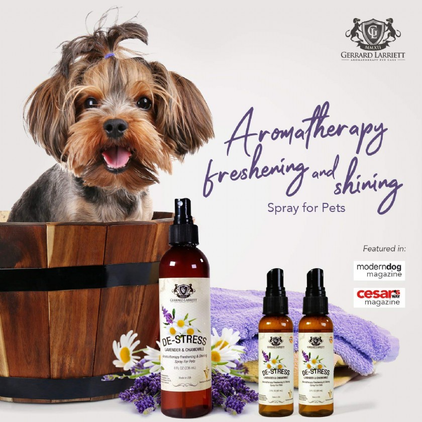 Organic Perfumes For Dogs Learn or Ask About Organic Perfumes For