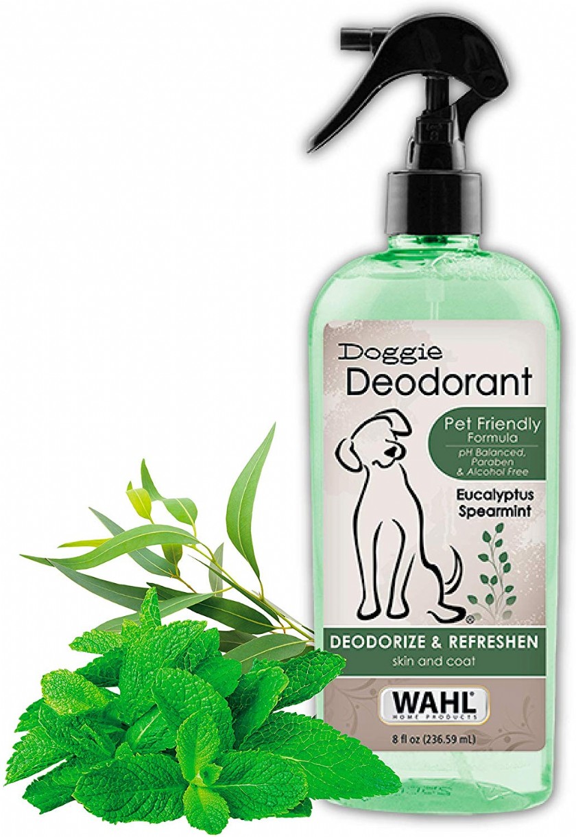 Organic Perfumes For Dogs Learn or Ask About Organic Perfumes For