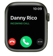 Answer phone calls on Apple Watch