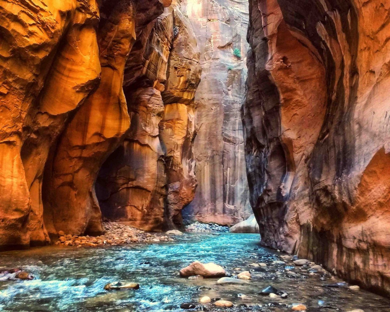 Narrows hike in Zion National Park Canyon